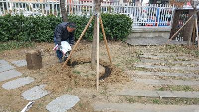 환경미화(관공서 잡초제거,비료주기)용역