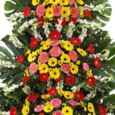 축하화환 이미지 1