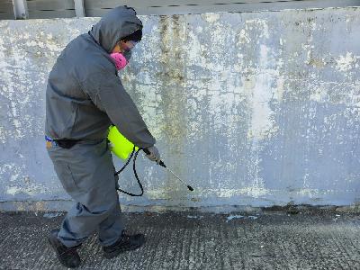 소독방역 이미지 1