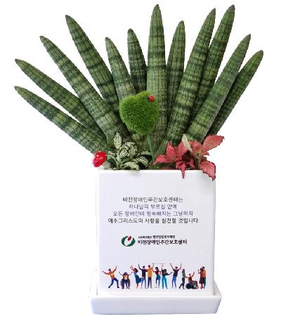 하나화분_스투키_화환_꽃_화분_화분인쇄_기타판촉물(기념품)