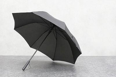 송월 장우산 폰지무지70 이미지 2