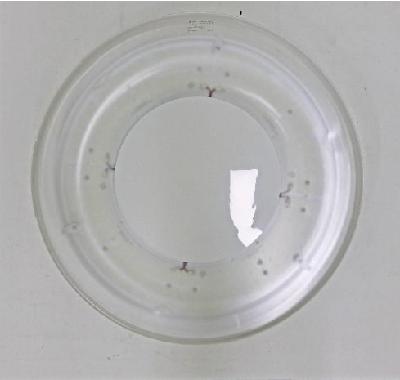 LED실내조명기구, 채움테크, CM-CHL-HJ30-30W