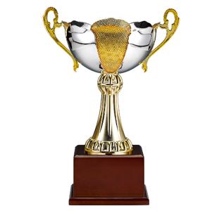 아모레_트로피, 기념패, 상패