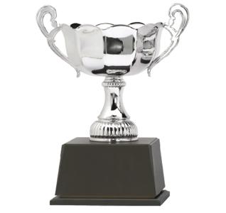 샐비어_트로피, 기념패, 상패