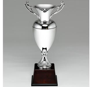 디어실버_트로피, 기념패, 상패