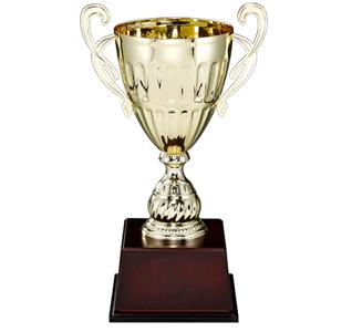 팡파레_트로피, 기념패, 상패