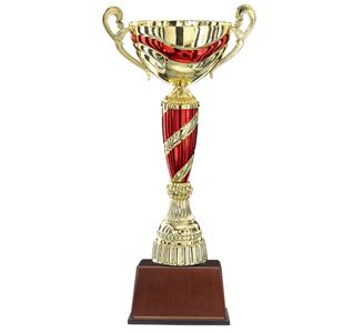 체리쉬_트로피, 기념패, 상패