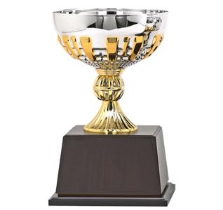 돌체_트로피, 기념패, 상패