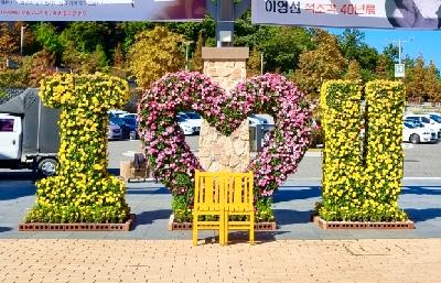 국화-조형작 외