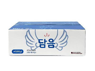 담음 A3 80g