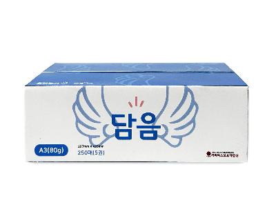 담음 A3 80g