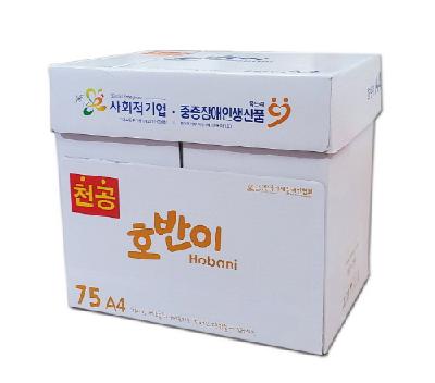 천공 호반이 75g A4