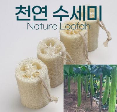 #천연수세미(판촉물 기념품 홍보물 인쇄)