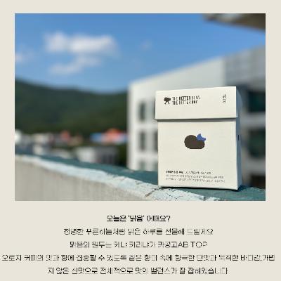 더베럴빈 데일리 드립백 7p