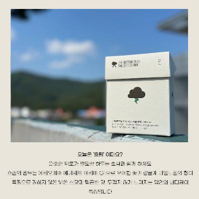 흐린날 예가체프와함께 