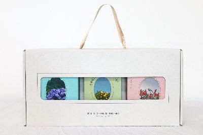 제주 커피 티세트 