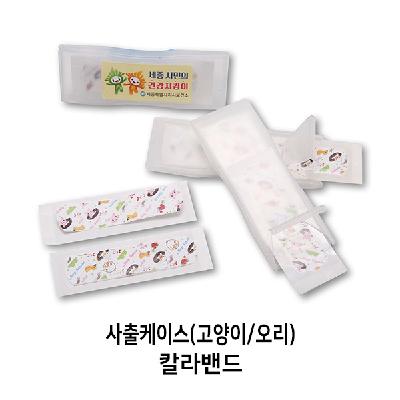 칼라밴드+케이스