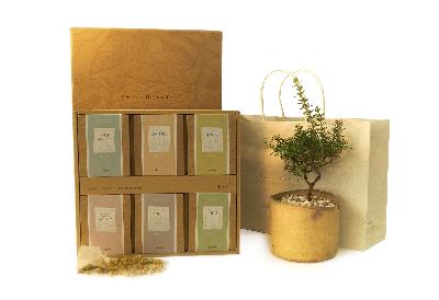 (허브차)허브드림 2호