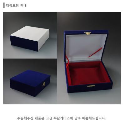 케이스