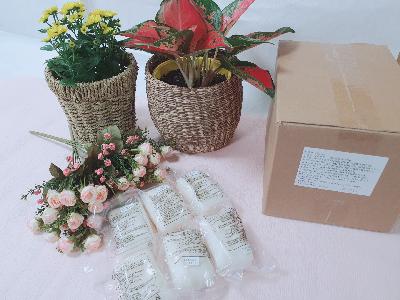 세안비누