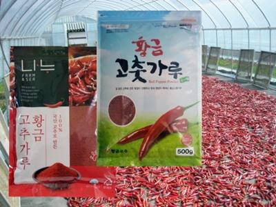 황금고춧가루(500g/1kg)