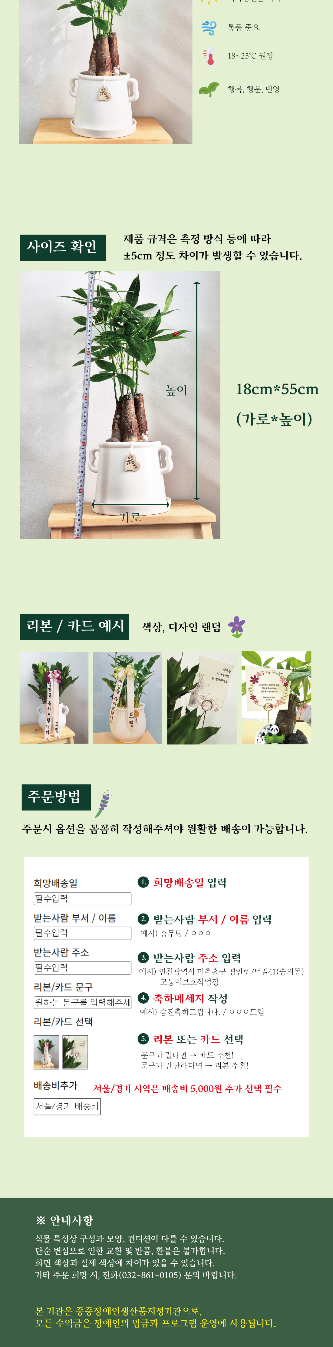 상세페이지2