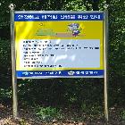 실사출력