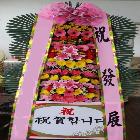 축화화환10