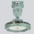 LED 방폭등 55W