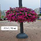 가로등 화분