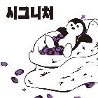 엘피스 커피 분쇄 원두(시그니처) 500g