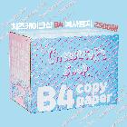 치즈케이크샵 복사용지 B4 80g