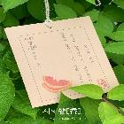 시의향[香] 사쉐디퓨저